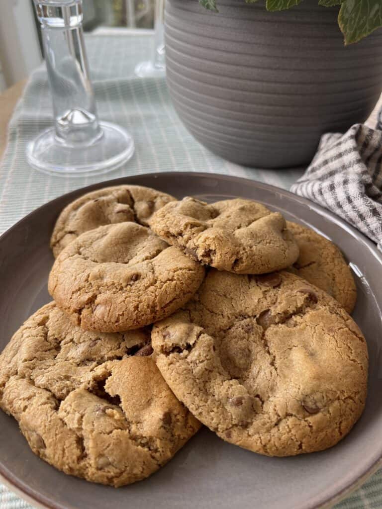 warm chocolate chip cinnamon cookies in a plate